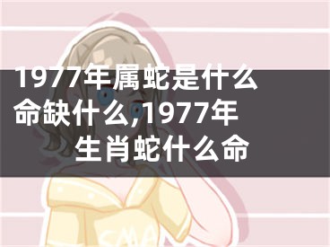 1977年属蛇是什么命缺什么,1977年生肖蛇什么命