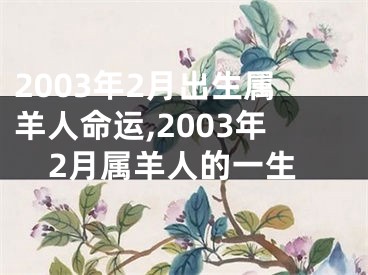 2003年2月出生属羊人命运,2003年2月属羊人的一生