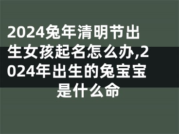 2024兔年清明节出生女孩起名怎么办,2024年出生的兔宝宝是什么命