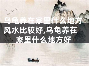 乌龟养在家里什么地方风水比较好,乌龟养在家里什么地方好