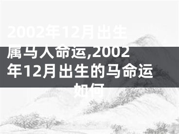 2002年12月出生属马人命运,2002年12月出生的马命运如何