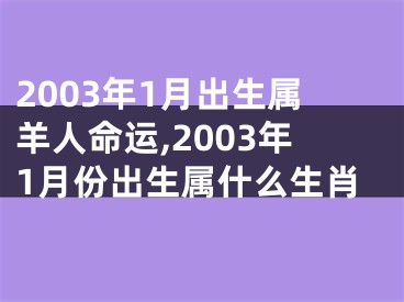 2003年1月出生属羊人命运,2003年1月份出生属什么生肖
