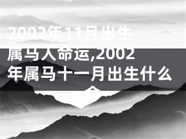2002年11月出生属马人命运,2002年属马十一月出生什么命