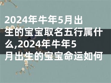 2024年牛年5月出生的宝宝取名五行属什么,2024年牛年5月出生的宝宝命运如何
