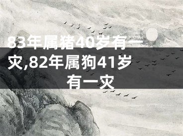 83年属猪40岁有一灾,82年属狗41岁有一灾