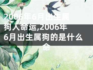 2006年6月出生属狗人命运,2006年6月出生属狗的是什么命
