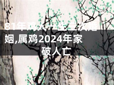 81年鸡人一生三次婚姻,属鸡2024年家破人亡