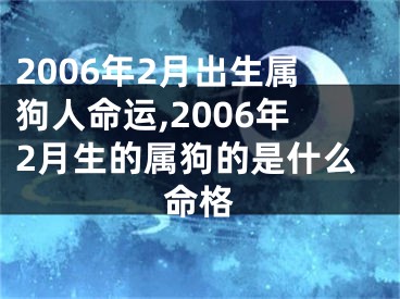 2006年2月出生属狗人命运,2006年2月生的属狗的是什么命格