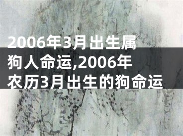 2006年3月出生属狗人命运,2006年农历3月出生的狗命运
