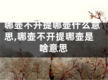 哪壶不开提哪壶什么意思,哪壶不开提哪壶是啥意思