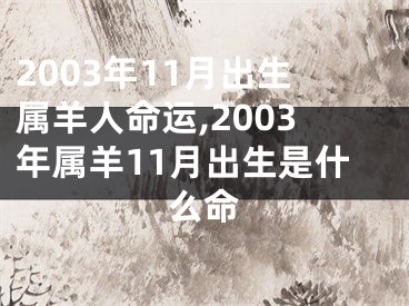 2003年11月出生属羊人命运,2003年属羊11月出生是什么命