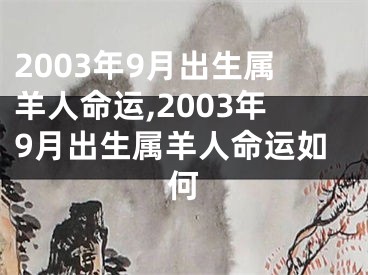 2003年9月出生属羊人命运,2003年9月出生属羊人命运如何