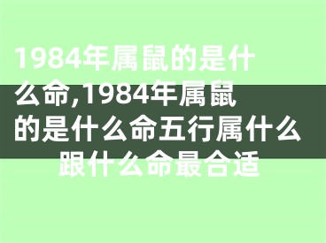 1984年属鼠的是什么命,1984年属鼠的是什么命五行属什么跟什么命最合适