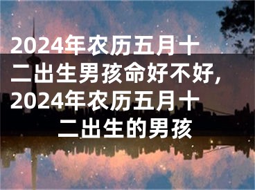 2024年农历五月十二出生男孩命好不好,2024年农历五月十二出生的男孩