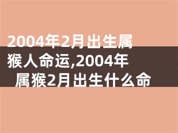 2004年2月出生属猴人命运,2004年属猴2月出生什么命