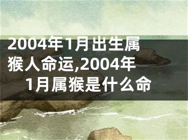 2004年1月出生属猴人命运,2004年1月属猴是什么命