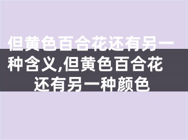 但黄色百合花还有另一种含义,但黄色百合花还有另一种颜色