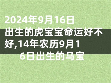 2024年9月16日出生的虎宝宝命运好不好,14年农历9月16日出生的马宝
