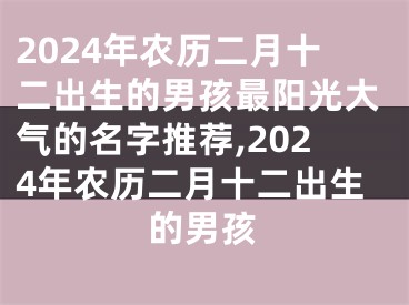 2024年农历二月十二出生的男孩最阳光大气的名字推荐,2024年农历二月十二出生的男孩