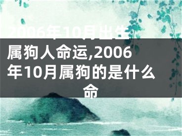 2006年10月出生属狗人命运,2006年10月属狗的是什么命