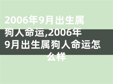 2006年9月出生属狗人命运,2006年9月出生属狗人命运怎么样