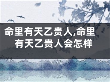 命里有天乙贵人,命里有天乙贵人会怎样