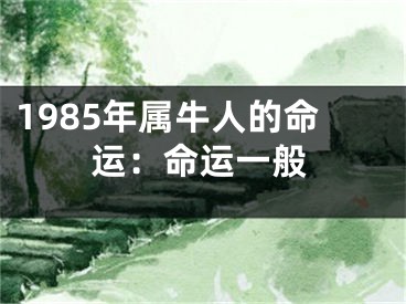 1985年属牛人的命运：命运一般