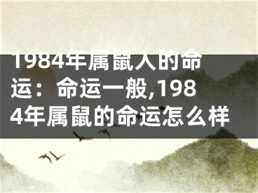 1984年属鼠人的命运：命运一般,1984年属鼠的命运怎么样