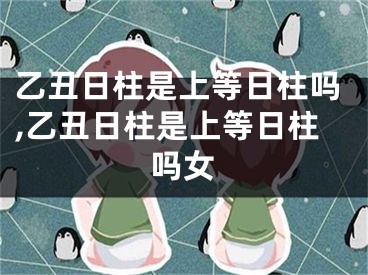 乙丑日柱是上等日柱吗,乙丑日柱是上等日柱吗女