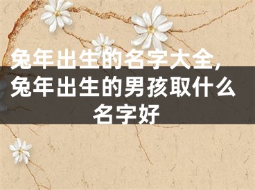 兔年出生的名字大全,兔年出生的男孩取什么名字好