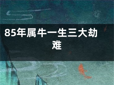 85年属牛一生三大劫难
