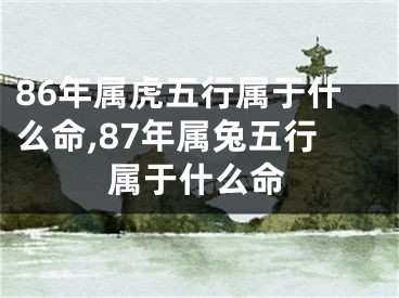 86年属虎五行属于什么命,87年属兔五行属于什么命