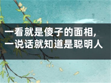 一看就是傻子的面相,一说话就知道是聪明人