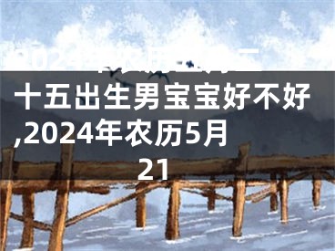 2024年农历五月二十五出生男宝宝好不好,2024年农历5月21