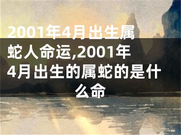 2001年4月出生属蛇人命运,2001年4月出生的属蛇的是什么命