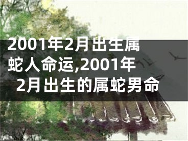 2001年2月出生属蛇人命运,2001年2月出生的属蛇男命