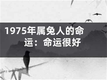 1975年属兔人的命运：命运很好