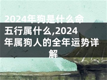 2024年狗是什么命五行属什么,2024年属狗人的全年运势详解