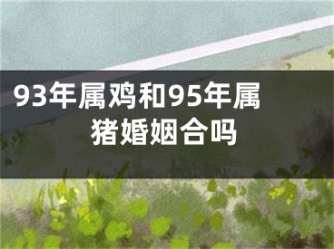 93年属鸡和95年属猪婚姻合吗