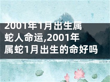 2001年1月出生属蛇人命运,2001年属蛇1月出生的命好吗