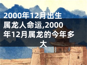 2000年12月出生属龙人命运,2000年12月属龙的今年多大