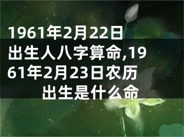 1961年2月22日出生人八字算命,1961年2月23日农历出生是什么命