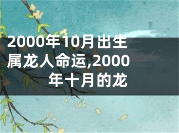 2000年10月出生属龙人命运,2000年十月的龙