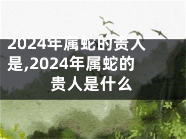 2024年属蛇的贵人是,2024年属蛇的贵人是什么