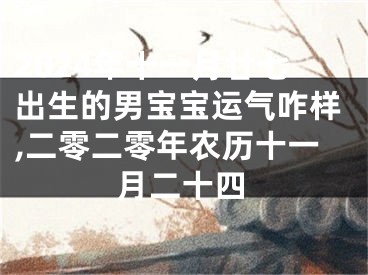 2024年十一月廿七出生的男宝宝运气咋样,二零二零年农历十一月二十四