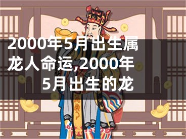 2000年5月出生属龙人命运,2000年5月出生的龙