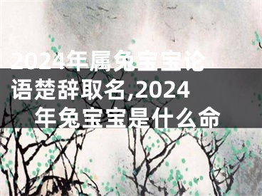 2024年属兔宝宝论语楚辞取名,2024年兔宝宝是什么命