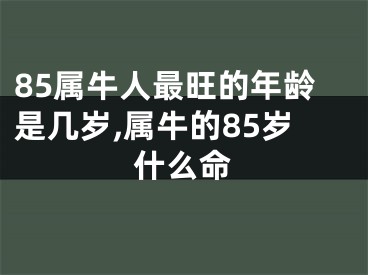 85属牛人最旺的年龄是几岁,属牛的85岁什么命