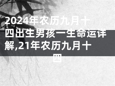 2024年农历九月十四出生男孩一生命运详解,21年农历九月十四