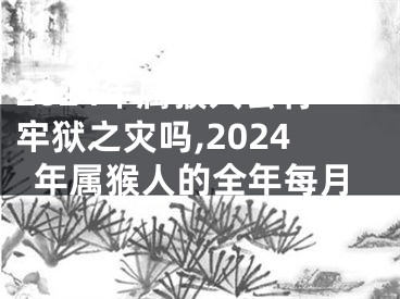 2024年属猴人会有牢狱之灾吗,2024年属猴人的全年每月